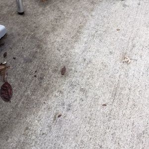 Meet your Posher, Kristian